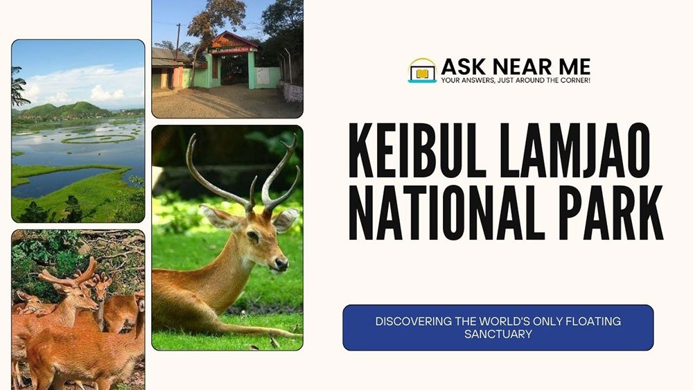 Keibul Lamjao National Park