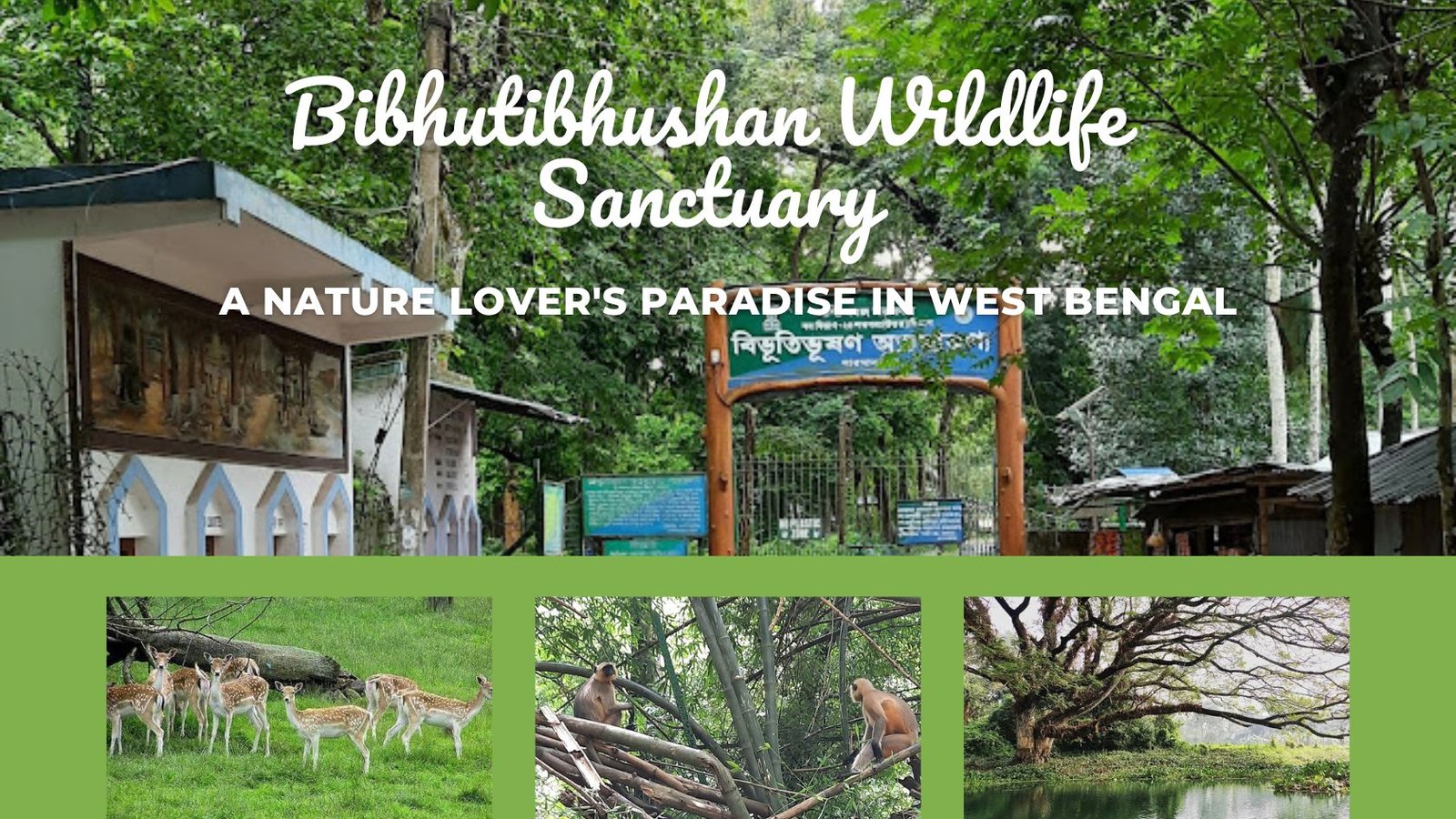 Bibhutibhushan Wildlife Sanctuary