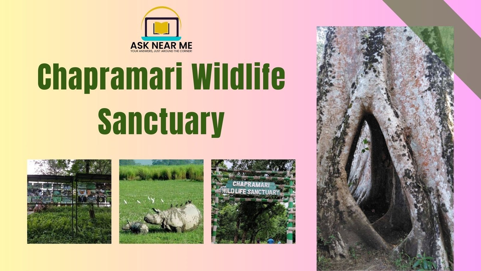 Chapramari Wildlife Sanctuary
