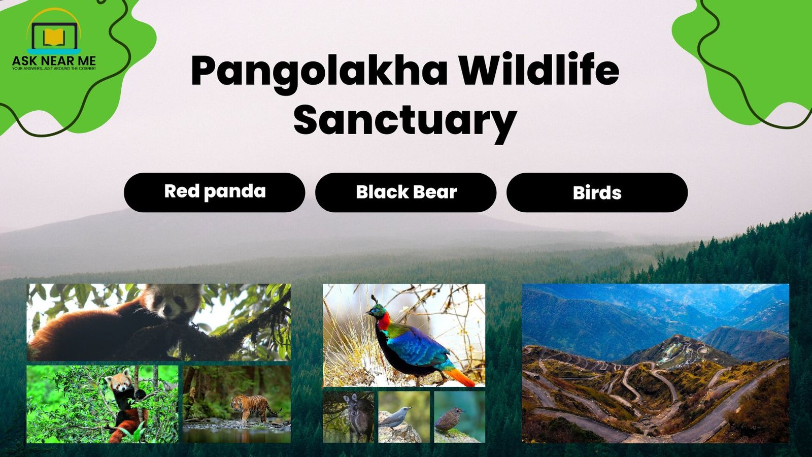 Pangolakha Wildlife Sanctuary